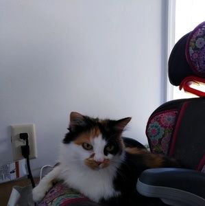 Meet your Posher, Joy